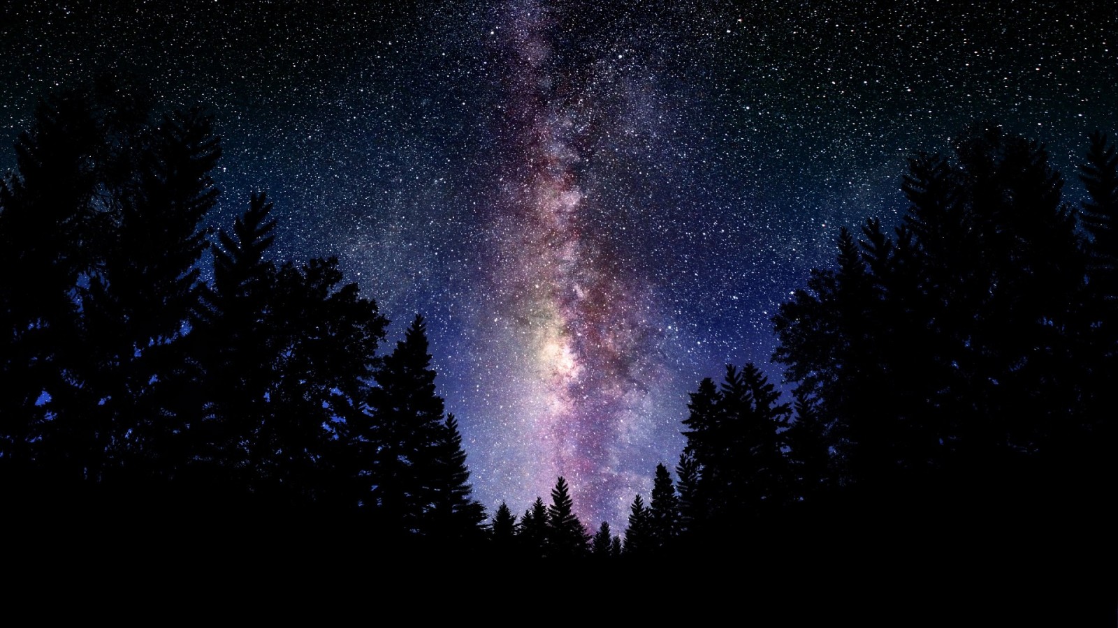 Surviving the Creative Wilderness—Attitude is Everything