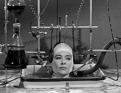 Brain Experiment