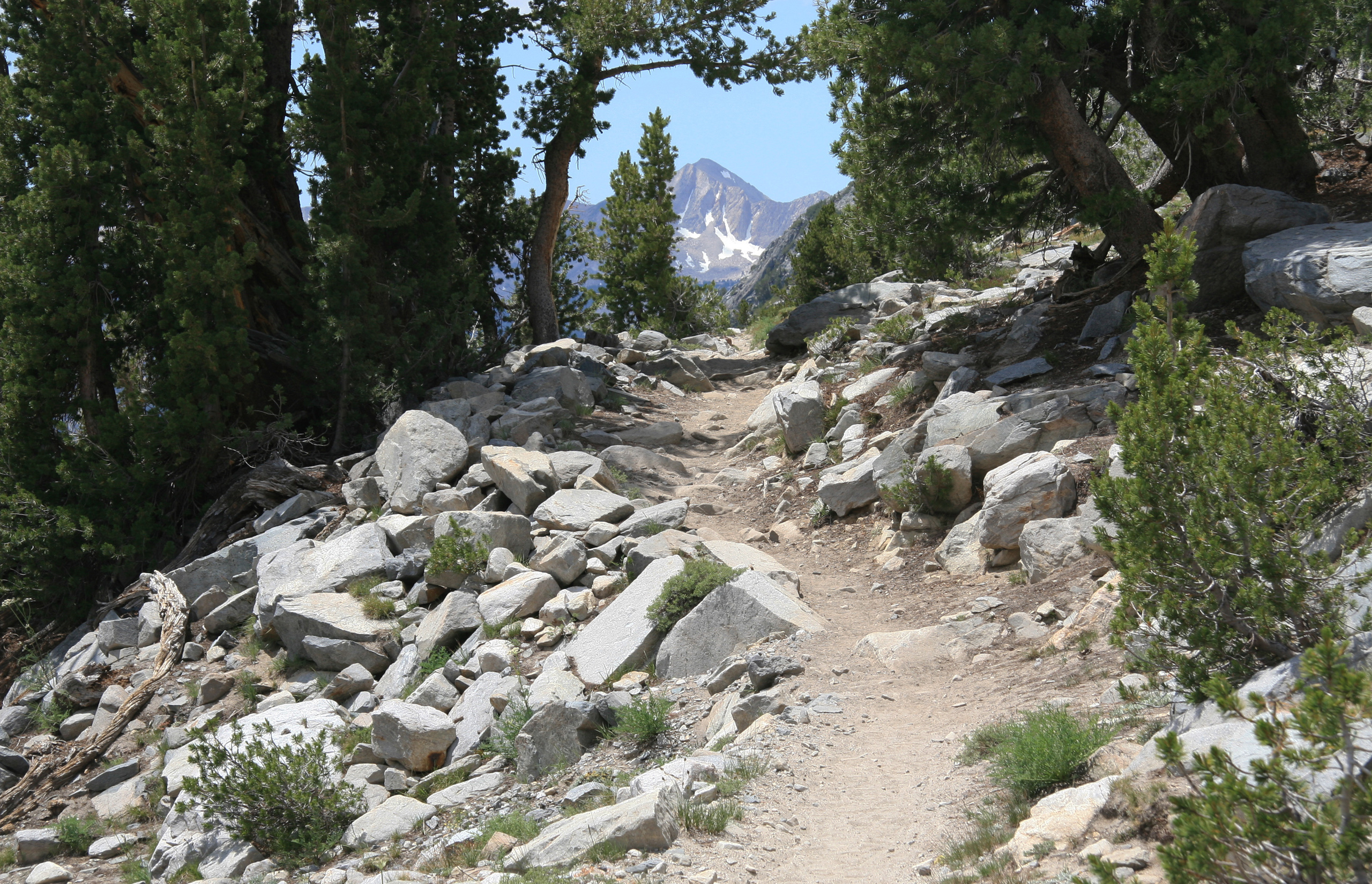 #IWSG – The Path to Publication